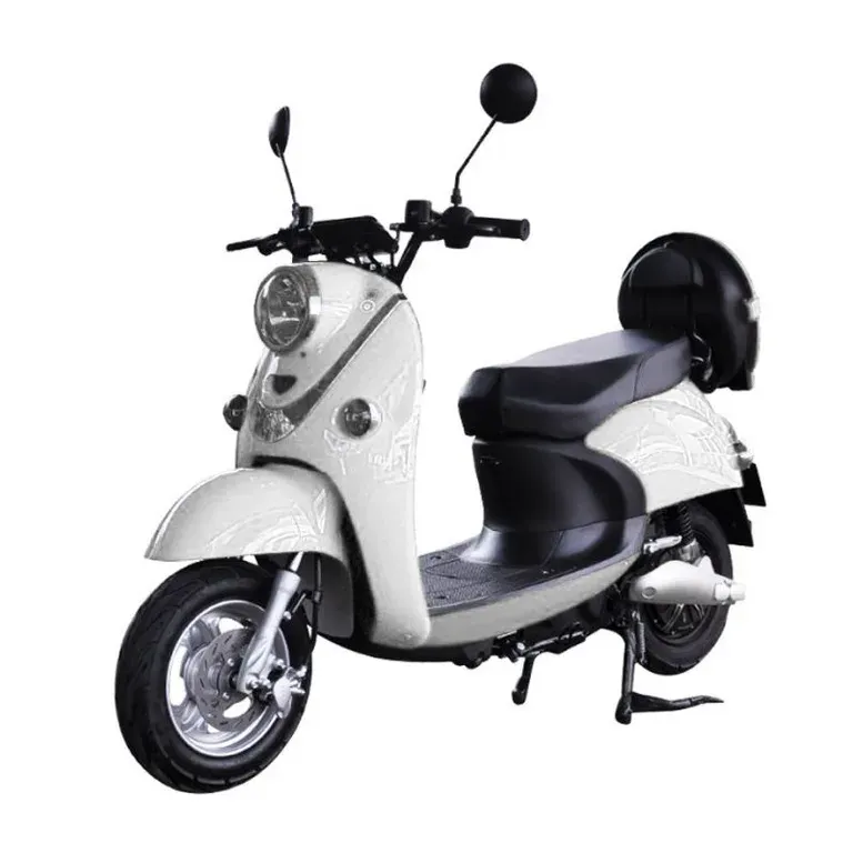 E-Rider E-Rider E-ECO 1000W