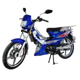 KIM FORZA POWER 110 3