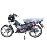 GSM FORZA 110cc 1