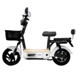 Ecoride Zen 600W 3