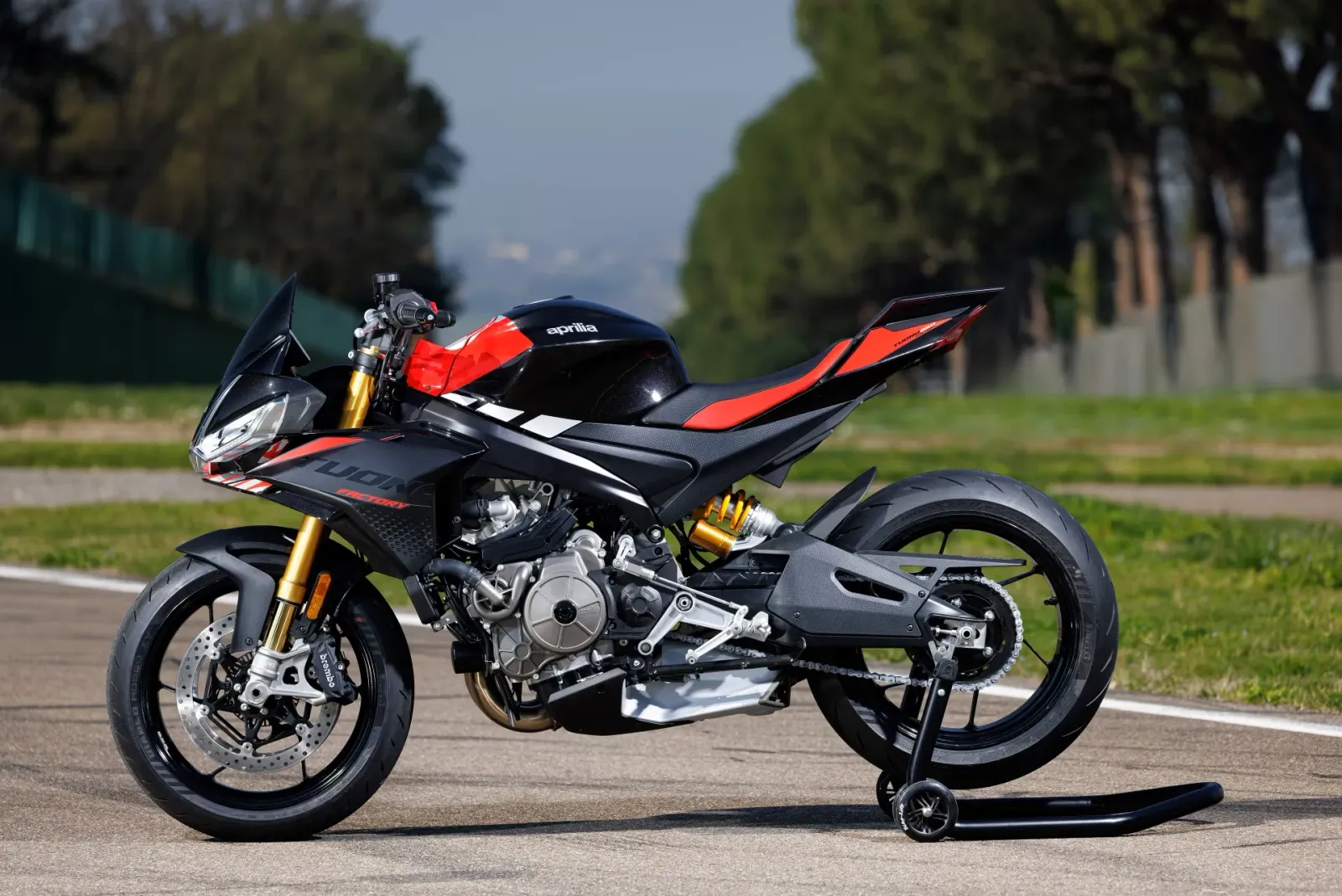 Aprilia Tuono 660 6