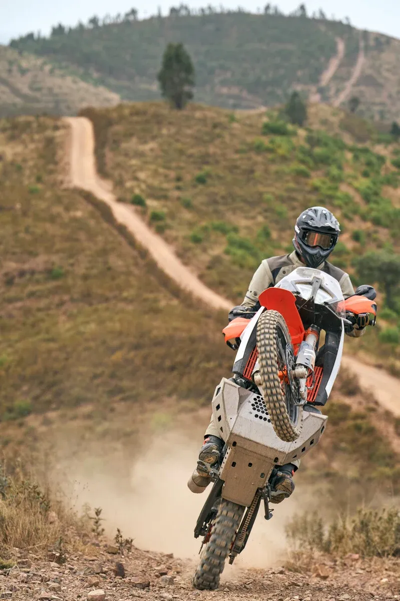 KTM 890 Adventure R 3